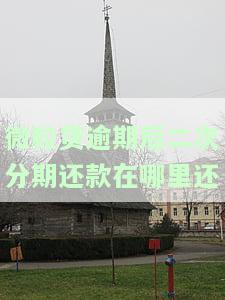微粒贷逾期后二次分期还款在哪里还款，如何在微粒贷逾期后进行二次分期还款？