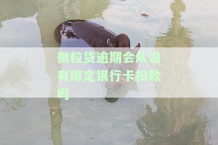 微粒贷逾期会从没绑定银行卡扣款吗？如何处理？