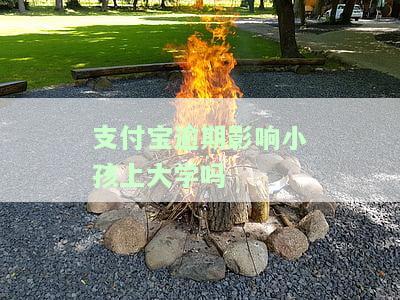 支付宝逾期会如何影响下一代的信用记录？包括信用卡、贷款和就业等方面的影响