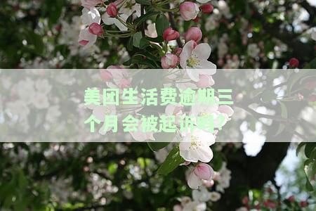 美团生活费逾期三个月会被起诉吗?-美团生活费逾期三个月会被起诉吗知乎