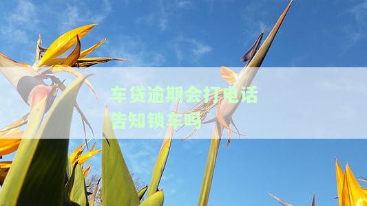 车贷逾期真的会锁车吗，真相揭秘：车贷逾期是否会导致车辆被锁定？