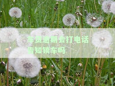车贷逾期会打电话告知锁车吗-车贷逾期会打电话告知锁车吗是真的吗