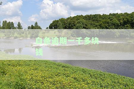白条逾期1000多块钱，警惕！你的白条已经逾期1000多元，快来处理吧！