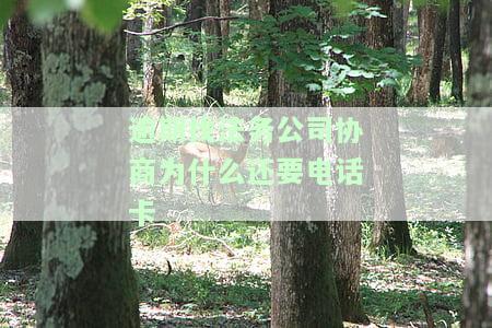 法务公司协商还款：是否可信、合法？所需时间及方法成功率如何？需不需要寄电话卡？
