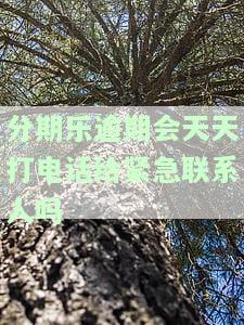 分期乐逾期接电话会打给紧急联系人吗，分期乐逾期：是否会拨打紧急联系人？