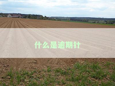 什么是逾期贷款，逾期贷款详解：什么是逾期贷款，会产生什么后果？