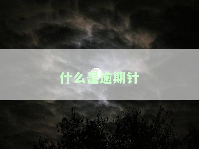 什么是逾期针-什么叫逾期