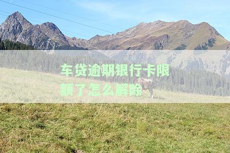 车贷逾期银行卡限额了怎么解除不了，解决车贷逾期导致银行卡限额问题的步骤与方法