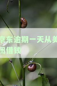 京东逾期一天从美团借钱会产生什么后果？会影响征信吗？是否会电话骚扰通讯录人？已还清能否再次借款？