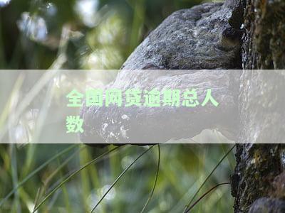 2021年网贷逾期的人到底有多少，揭示真相：2021年网贷逾期人数统计