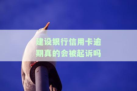 建行信用卡2020逾期新规，2020年建行信用卡逾期新规解读