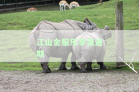 江山金服乐享贷逾期会怎么样，江山金服乐享贷逾期后果详解