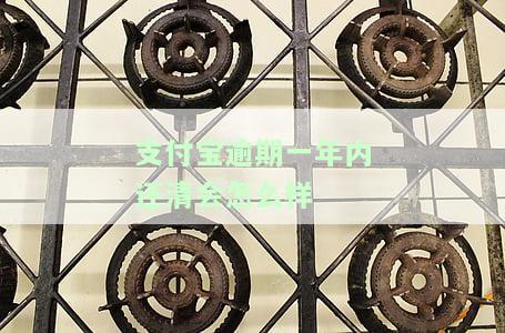 支付宝逾期一年怎么办？影响及解决方法全解析