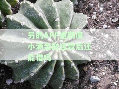 度小满逾期怎么还款，如何解决度小满逾期问题并进行还款？