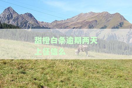 甜橙白条逾期多久上征信，警惕逾期风险：甜橙白条逾期多久将被记入个人征信记录？