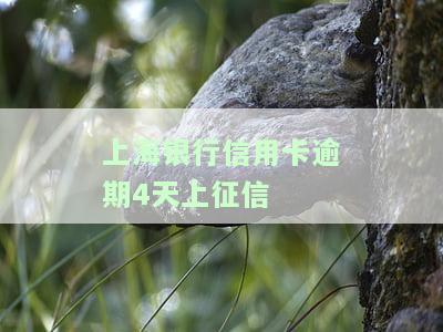 上海银行信用卡7天未还款，逾期警告：您的上海银行信用卡已7天未还款，请尽快处理
