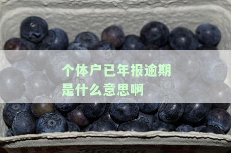 个体户已年报逾期是什么意思啊-个体户已年报逾期是什么意思啊怎么处理