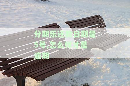 分期乐还款日期是5号,怎么样才是逾期-分期乐还钱日期