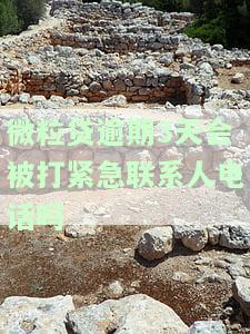 微粒贷逾期第三天会给紧急联系人打电话吗？真的是这样吗？安全吗？
