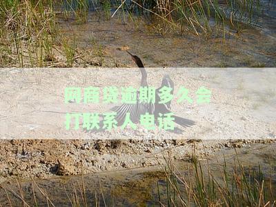 网商贷逾期多久催收，了解网商贷逾期催收政策：时间安排和处理方式