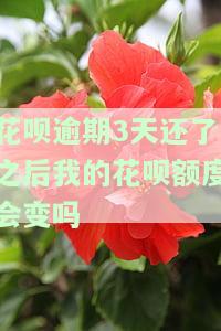 花呗逾期3天还了之后，额度会恢复吗？影响如何？