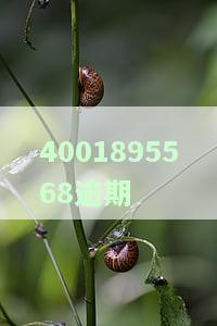 如何拨打逾期咨询电话？详细联系方式全在这！