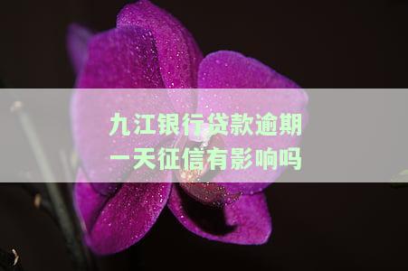 九江银行贷款逾期一天征信有影响吗？怎么办理及解决方法