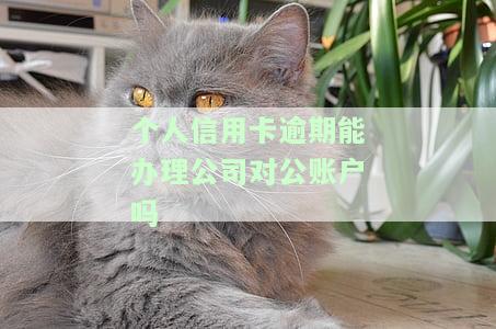 个人信用卡逾期能否办理公司对公账户？如何解决？