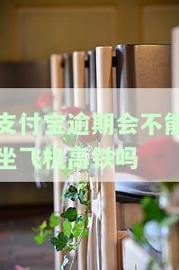 支付宝逾期了能不能坐高铁，支付宝逾期会影响乘坐高铁吗？