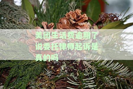 美团生活费欠款有收到过律师函吗，美团生活费欠款：你是否已经收到了律师函？