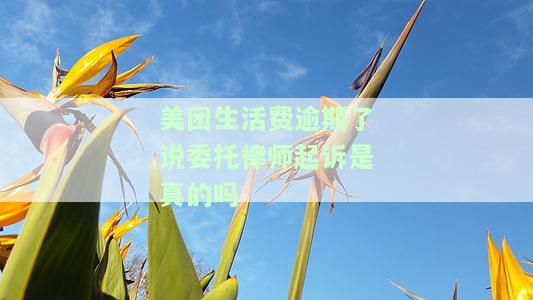 美团生活费逾期3000发最后协商说起诉，美团生活费逾期3000元，最后协商无果，或将面临法律诉讼