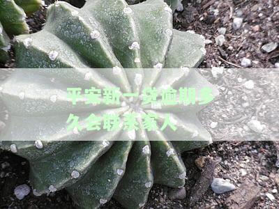 平安新一贷新一贷逾期后应该跟哪协商？还款、还本金、展期、征信影响及上门催收全解析！