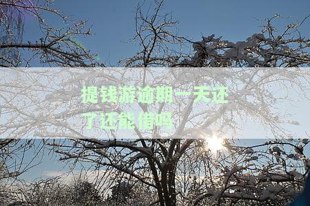提钱游逾期2天还了还能复借吗？逾期2天是否会上征信、有无影响？逾期7天后还清能否再次借款？