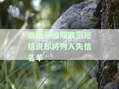 微粒贷逾期收到短信说即将列入失信名单，应如何应对？