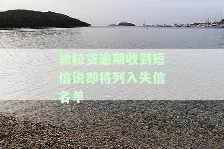 微粒贷逾期48天，发信息称将申请失信被执行人，法院或将介入处理