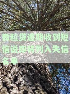 微粒贷逾期收到短信说即将列入失信名单-微粒贷逾期收到短信说即将列入失信名单是真的吗