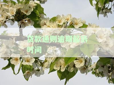 贷款逾期起诉立案标准，理解贷款逾期起诉立案标准