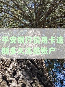 平安银行信用卡逾期多久冻结账户？影响及解决方法