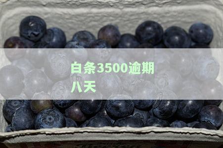 白条逾期八天可以贷款吗，逾期八天还能贷款吗？白条逾期对贷款的影响解析