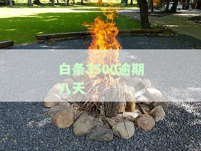 白条逾期3000块，警惕！你的白条逾期3000块，可能会带来这些后果