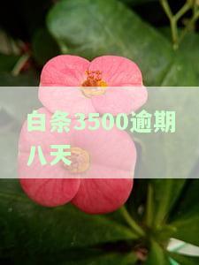 白条逾期了8000元会被起诉吗，逾期8000元白条是否会被起诉？