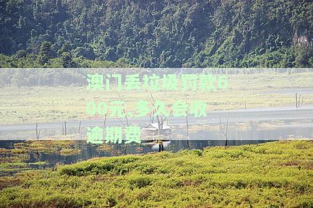 澳门丢垃圾罚款600元,逾期多久会产生额外费用？