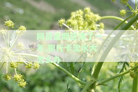 网贷逾期还清一年，银行卡流水大如何处理？对银行贷款、信用卡申请有影响吗？