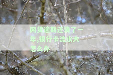 网贷逾期一年还完了还能贷款吗，网贷逾期一年后还款，是否影响再次贷款？