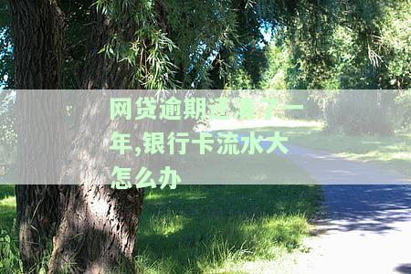 网贷逾期还清了一年,银行卡流水大怎么办