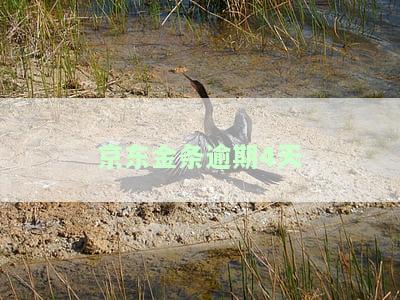 京东金条逾期4天-京东金条逾期4天后还款会对征信有影响嘛