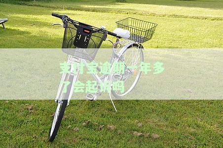 支付宝逾期一年多了会起诉吗，支付宝逾期一年以上是否会被起诉？