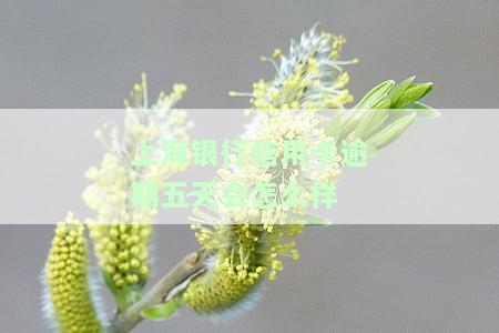 上海银行逾期还款9000元3个月会怎样，逾期还款9000元3个月，上海银行将采取何种措？