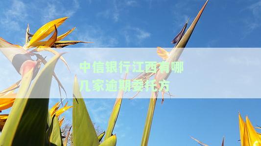 中信银行江西有哪几家逾期委托方的，查询中信银行在江西地区的逾期委托方信息