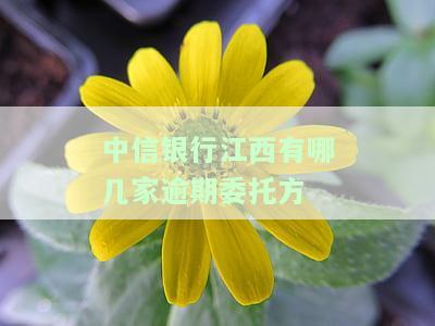 中信银行江西网点分布全览：地址、电话一网打尽！